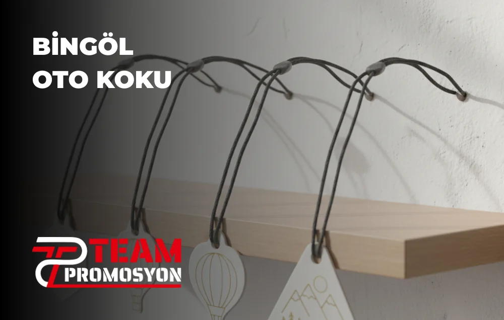 Bingöl Oto Koku