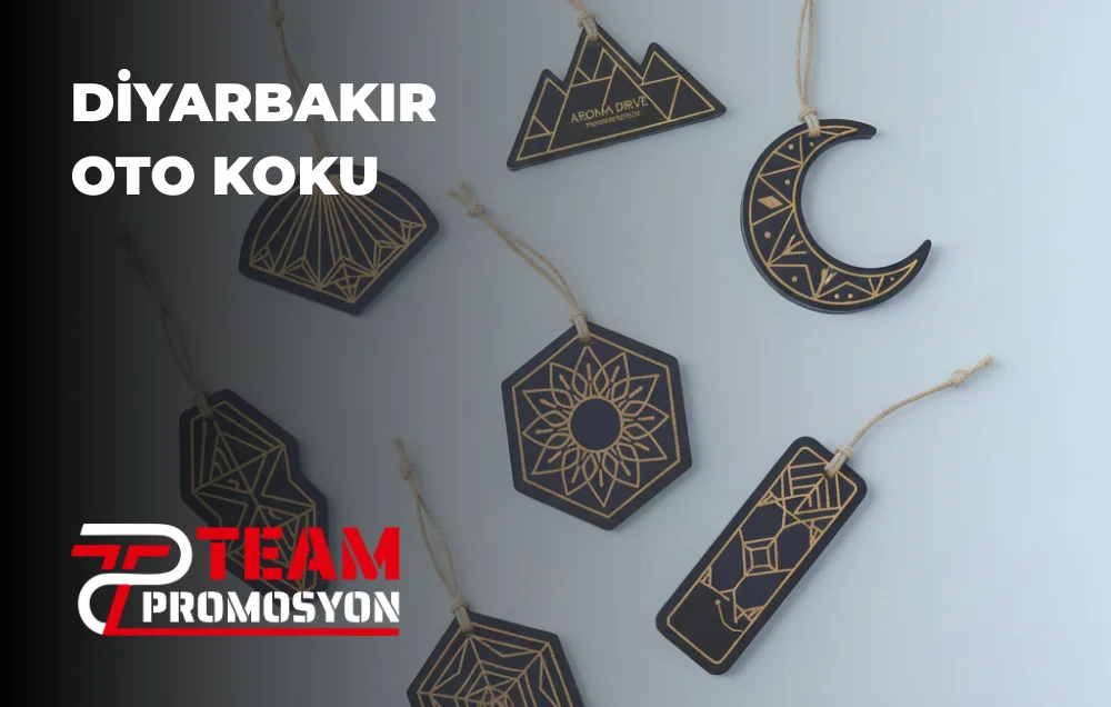 Diyarbakır Oto Koku