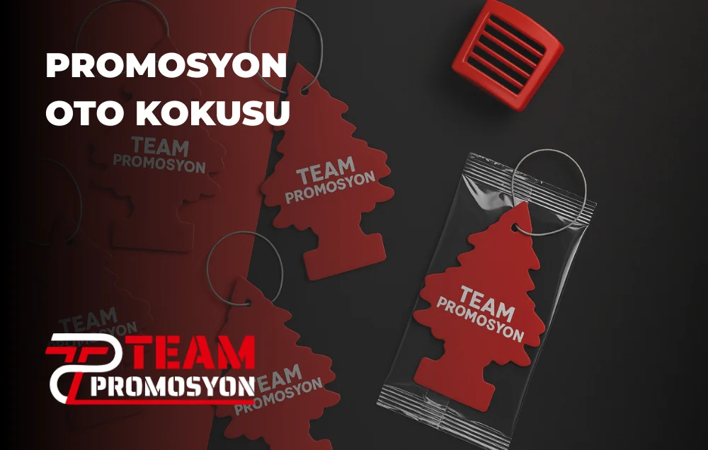 Promosyon Oto Kokusu